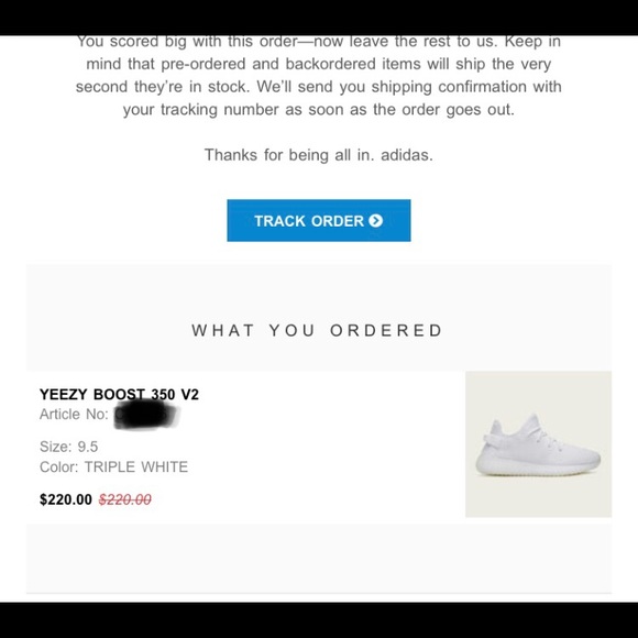 Adidas Yeezy Boost 350 V2 - Picture 3 of 3